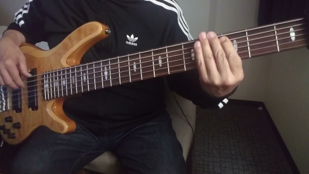 Bruno Mars - Perm (Bass Cover)
