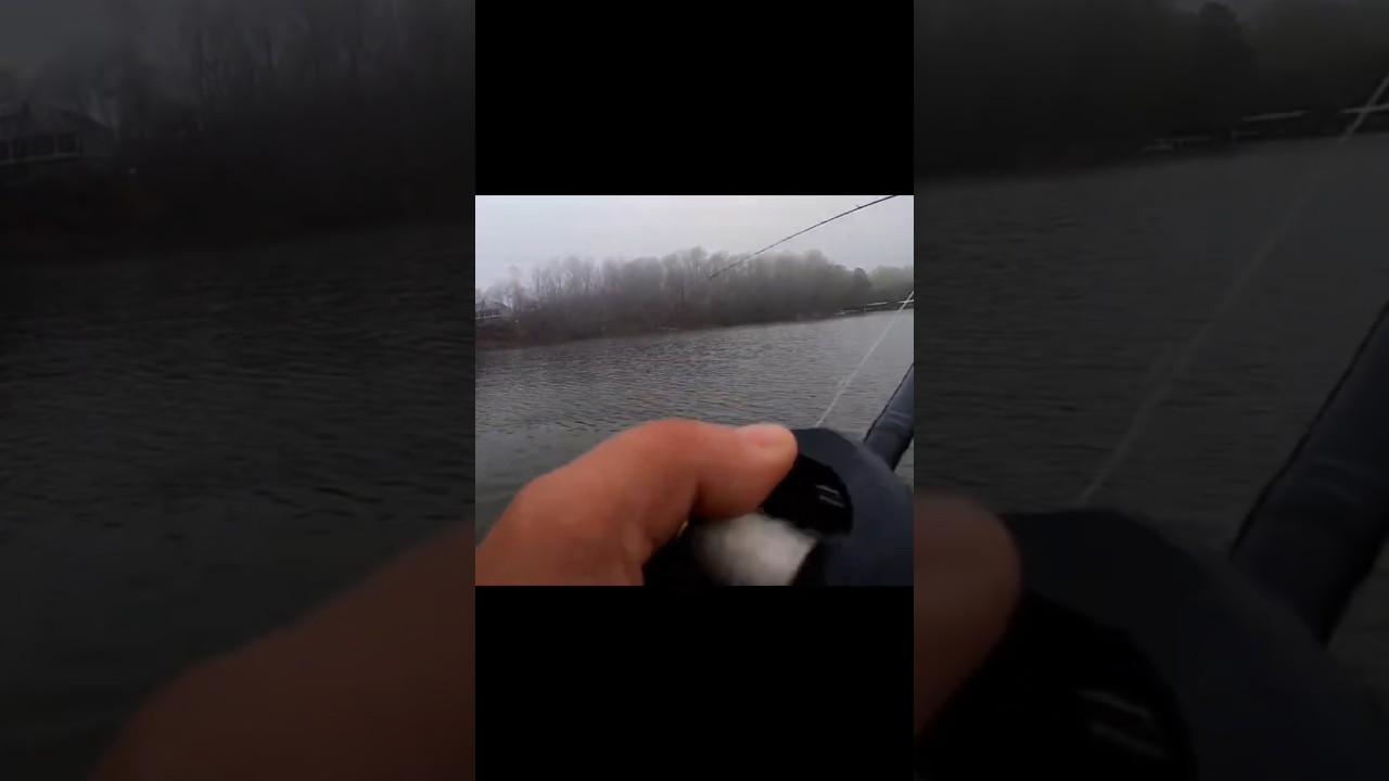 LAKE LANIER spotted bass 
