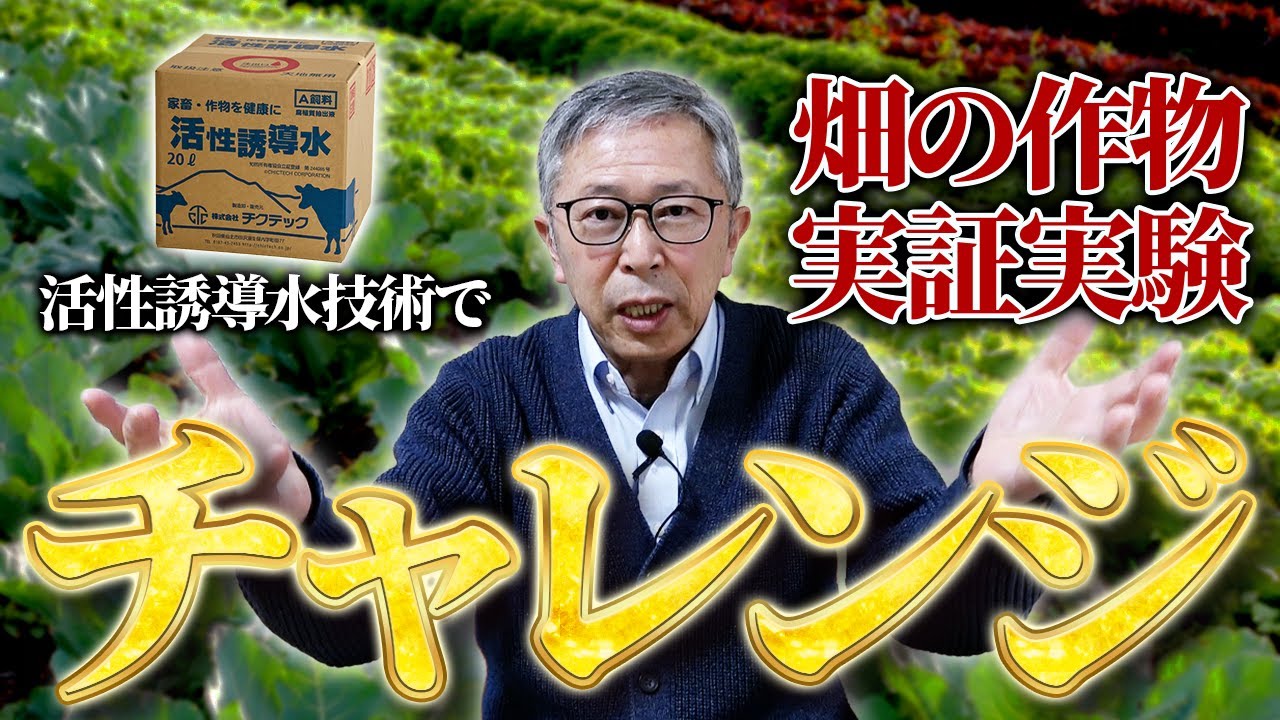 2026新たなチャンレンジ！活性誘導水技術で畑の作物 実証実験やります！【DNW417】