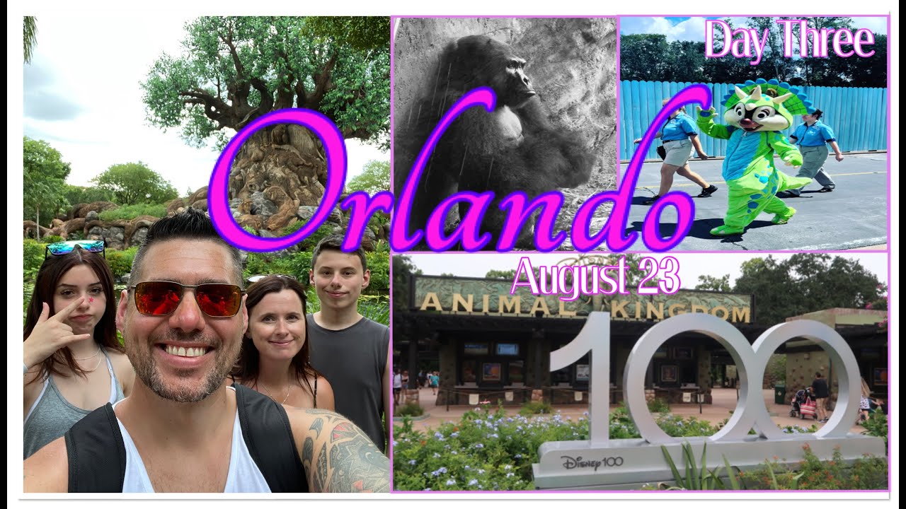 Animal Kingdom - I could watch the gorillas all day long | DAY THREE | Florida | August 23