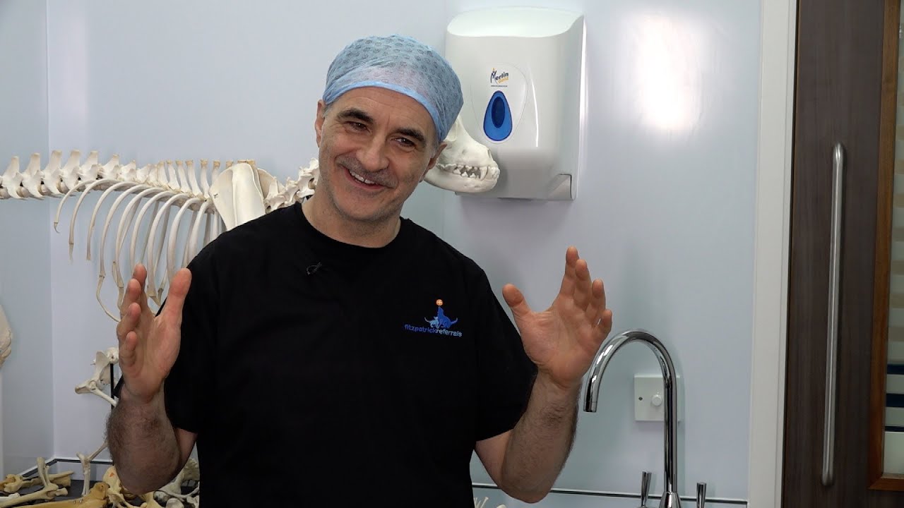 Interview with Noel “Supervet” Fitzpatrick