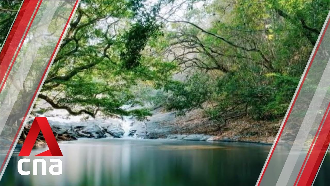 Vietnam's Dak Nong Geopark recognised as UNESCO Global Geopark