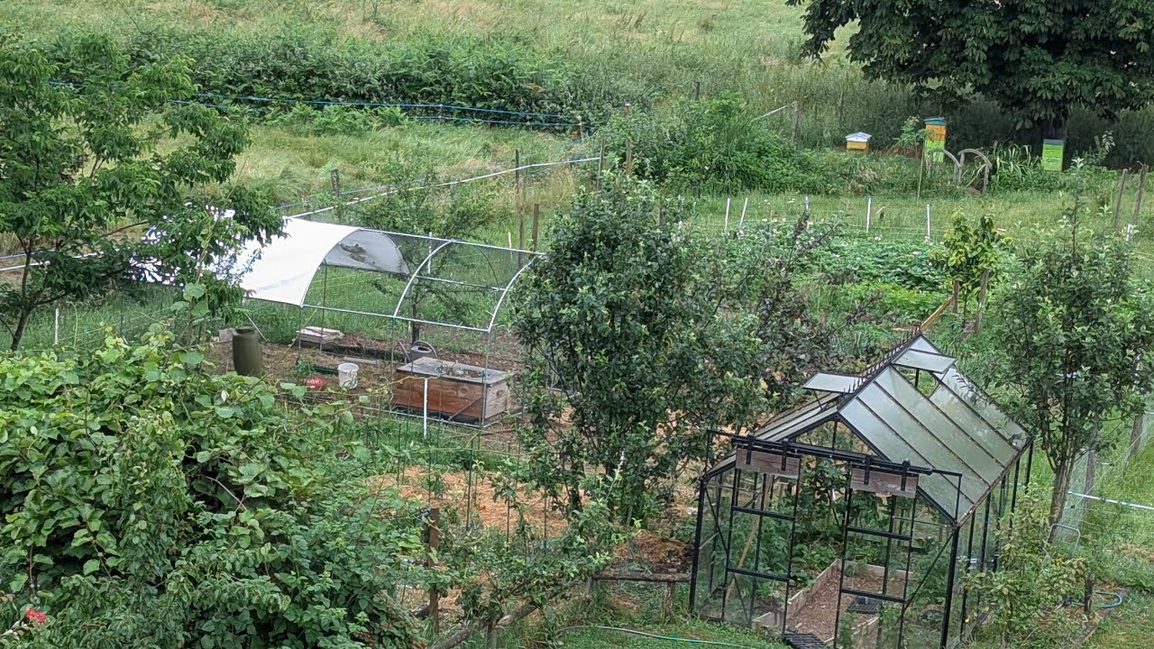 Autonomie alimentaire 2025 - Visite complète du potager et jardin nourricier.