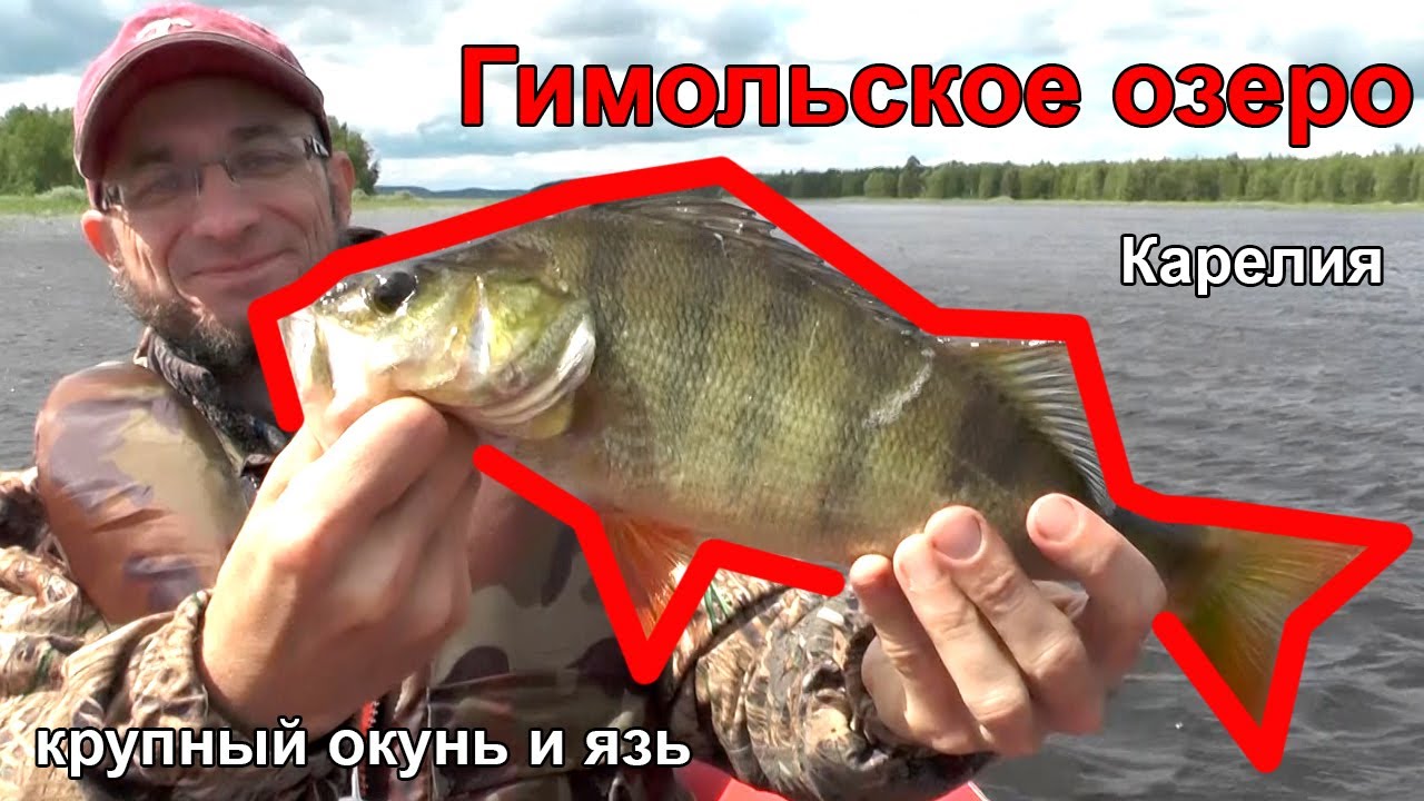 Гимольское озеро — рыбалка на крупного язя и окуня