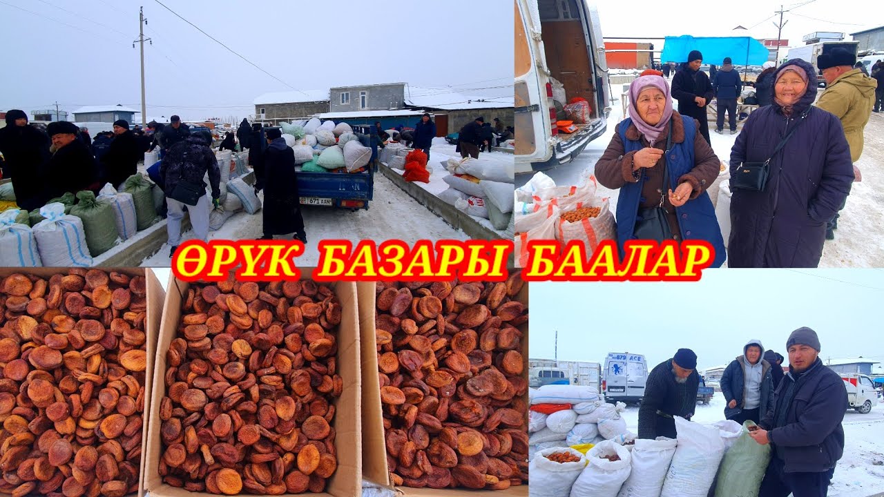 Баткендин даамдуу таза өрүктөрү. Каналга катталыңыздар. #кадамжаймедиа #rek #kg 