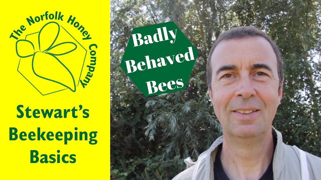 How to deal with Badly Behaved Bees - #Beekeeping Basics - The Norfolk Honey Co.