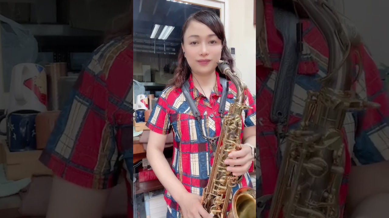 周杰倫  菊花台 Eb Joey 薩克斯風