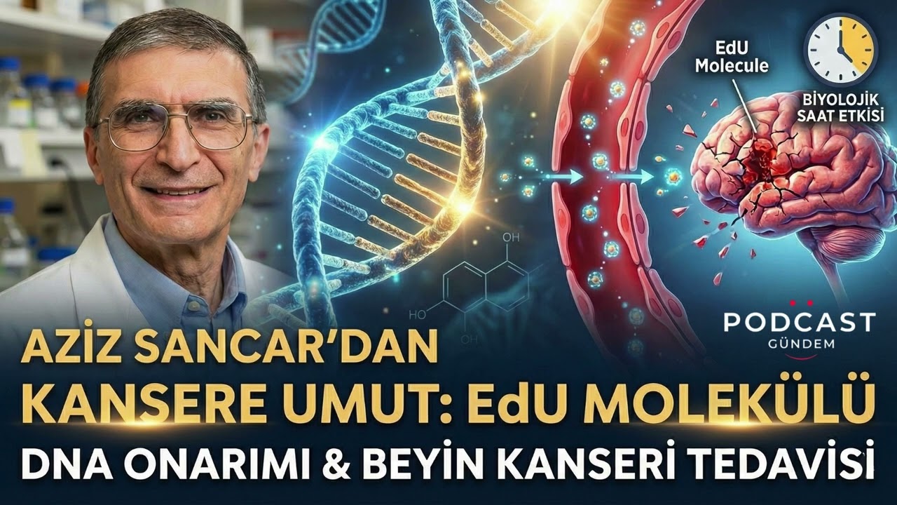 Aziz Sancar’dan Beyin Kanserine Umut Işığı: EdU Molekülü ve DNA Onarımı
