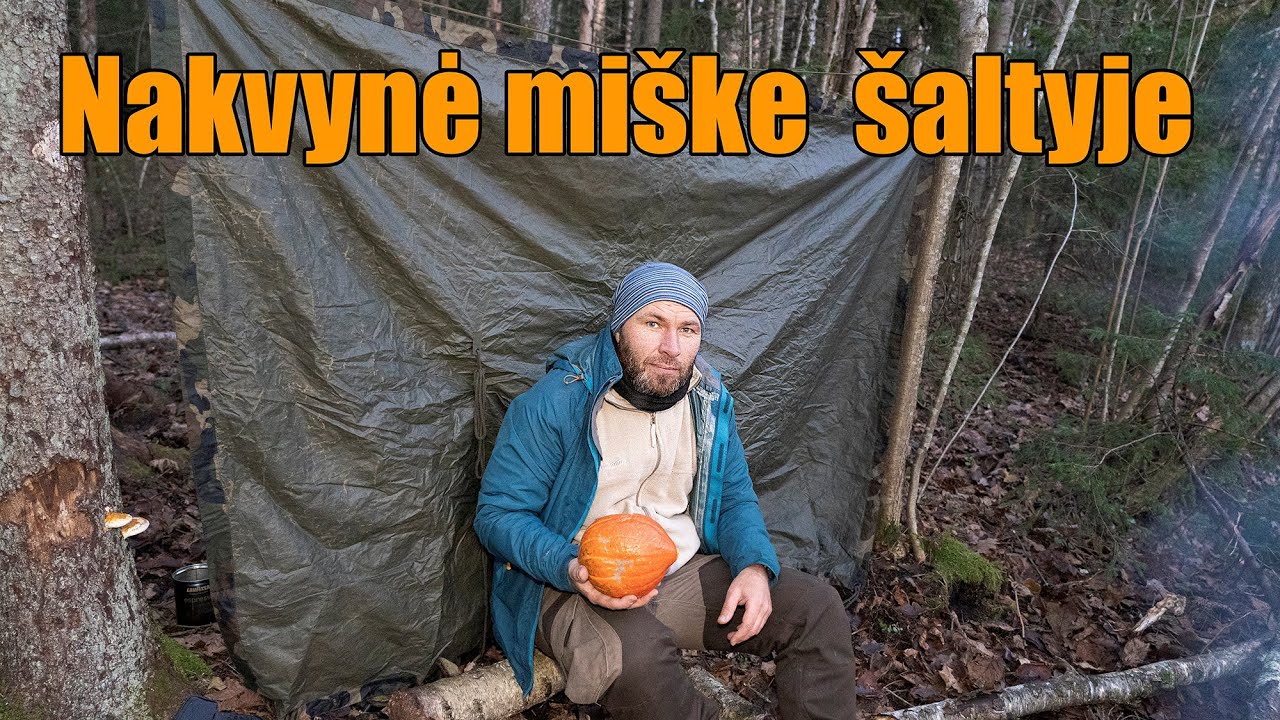 Nakvynė miške prie minuso, moliūgo kepimas lauže ir žieminės statymas