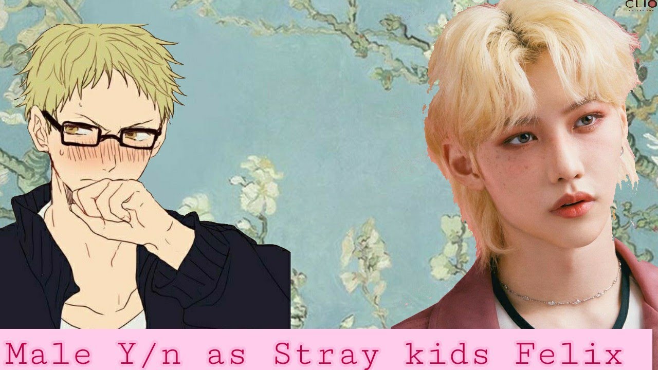 Male y/n as Stray kids Felix ||. Haikyuu boys x male Y/n || Haikyuu text ||. kiana-Senpai