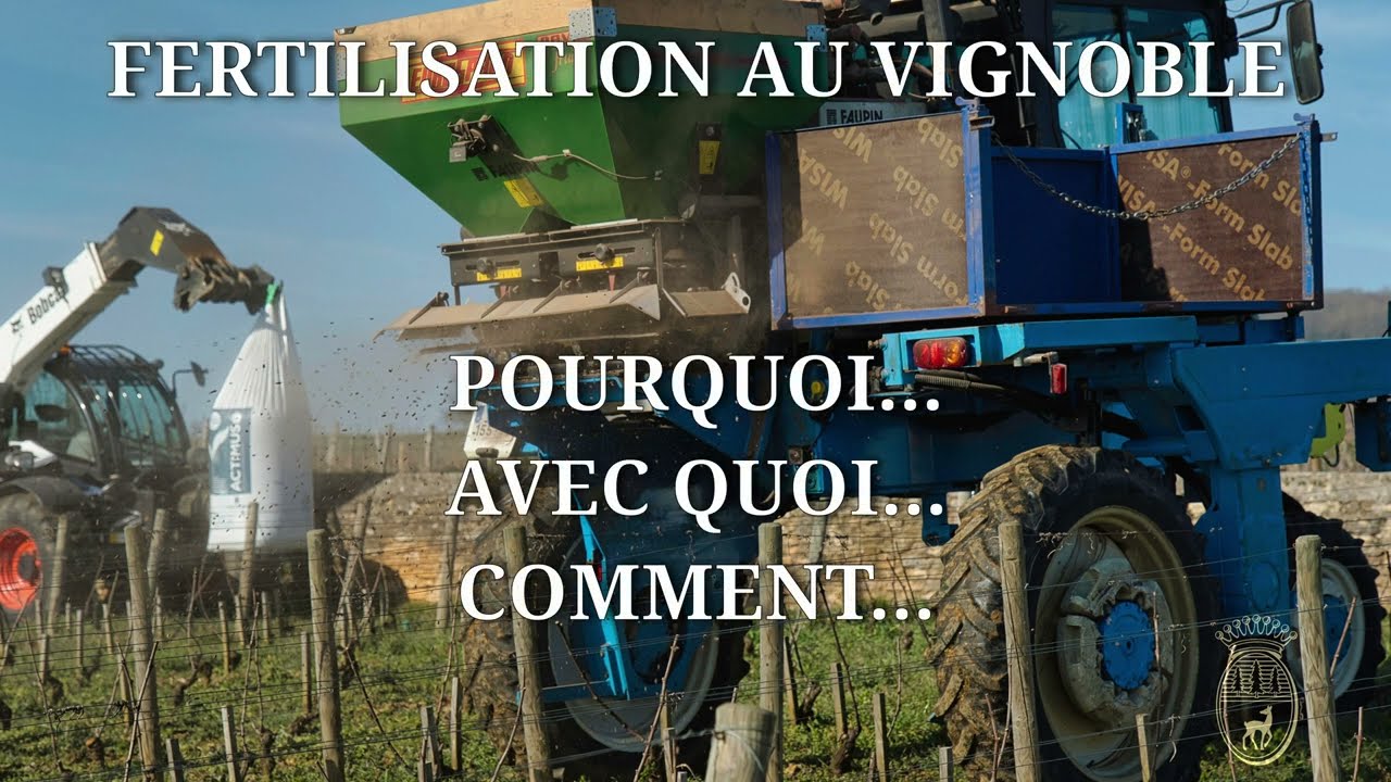 FERTILISATION VIGNOBLE BOURGUIGNON ET APPROCHE SIMPLE