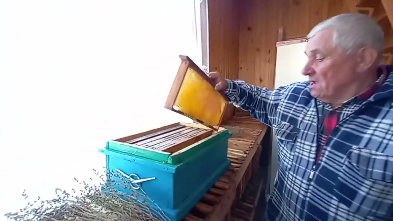 Медовий господар Павло Михайлович Вдовічук  смт Теофіполь