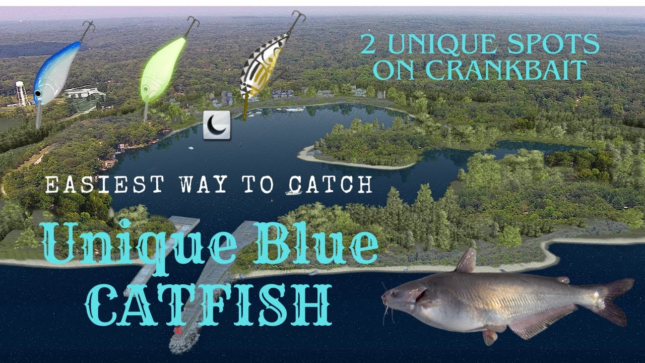How to catch Unique Blue Catfish in 5 minutes using lure  - Fishing Planet