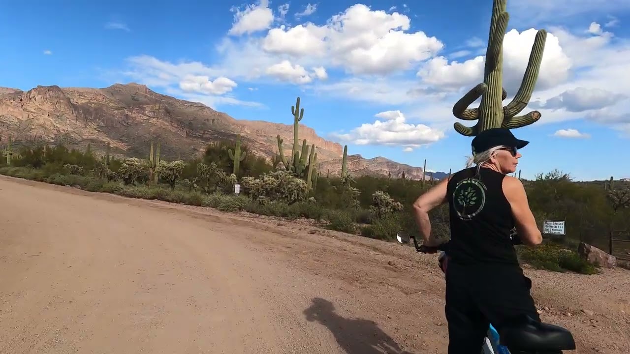 2/7/26 Gold Canyon GX011243