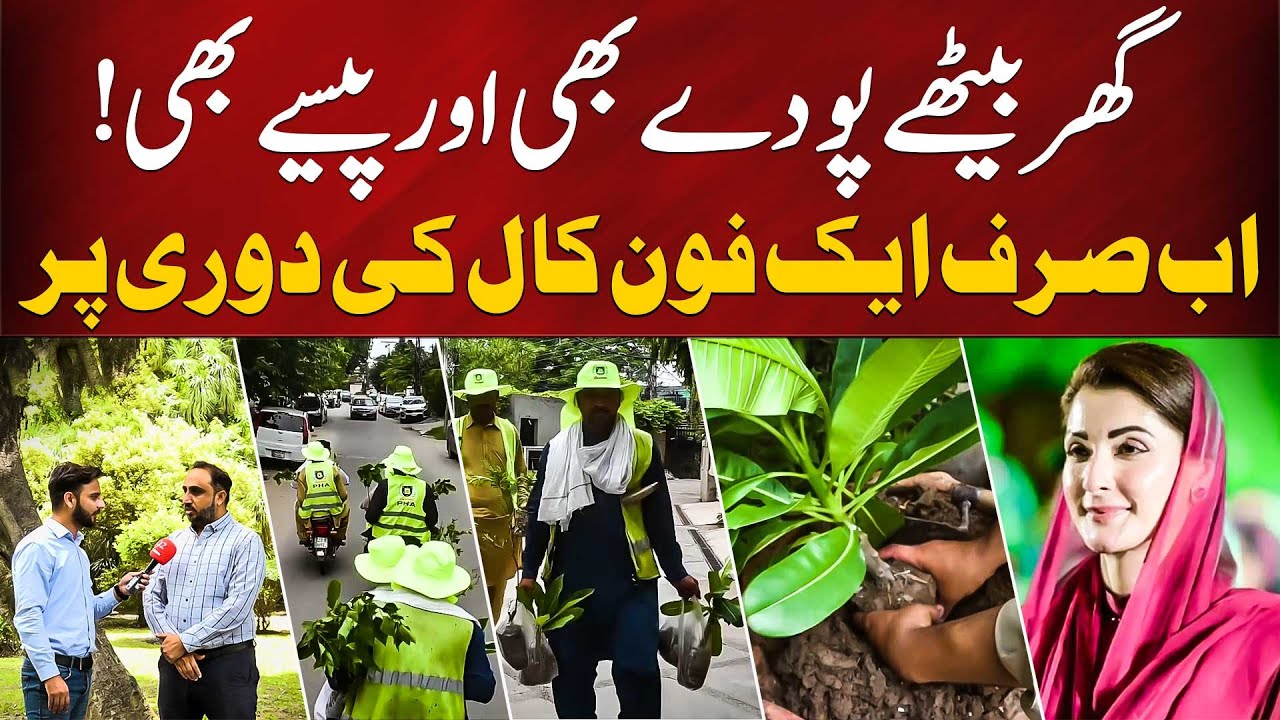 Get Free Plants With  Money At Home | Punjab Government Big Offer | 92NewsHD