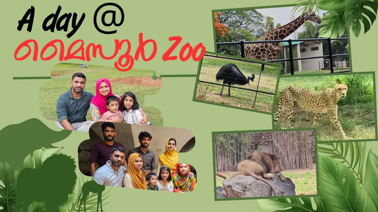 ഒരിക്കലെങ്കിലും കാണേണ്ട മൈസൂർ zoo യിലെ കാഴ്ച. ഇത്രയും ജീവികൾ #zoo #naturelovers #forest #animals
