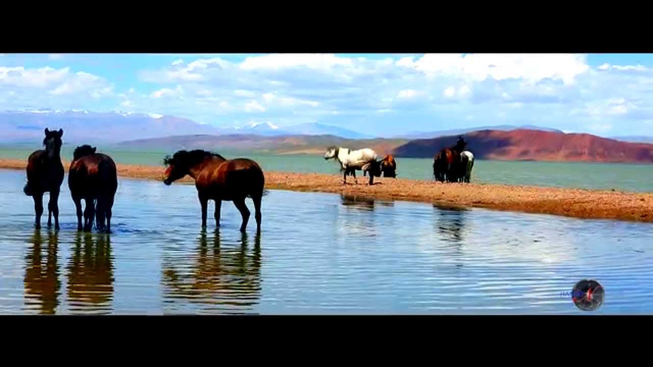B Purevsuren AAV EEJIINHEE NUTGAAR