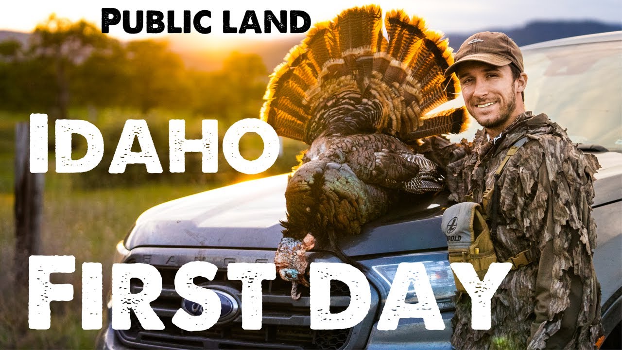 FIRST DAY TURKEYS PUBLIC LAND ( Idaho Merriams )