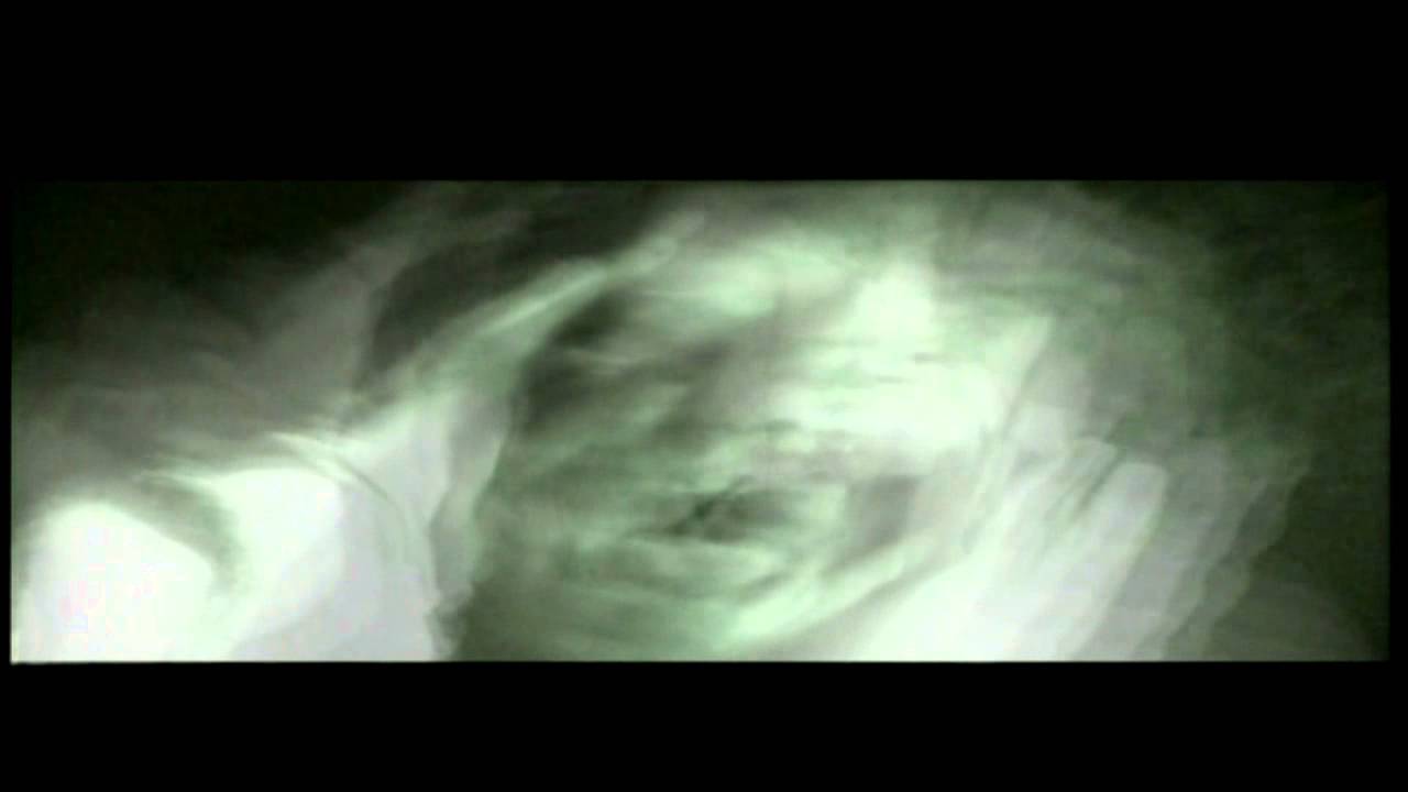 GIM [13]. Le&aelig;ther Strip - No Rest For The Wicked