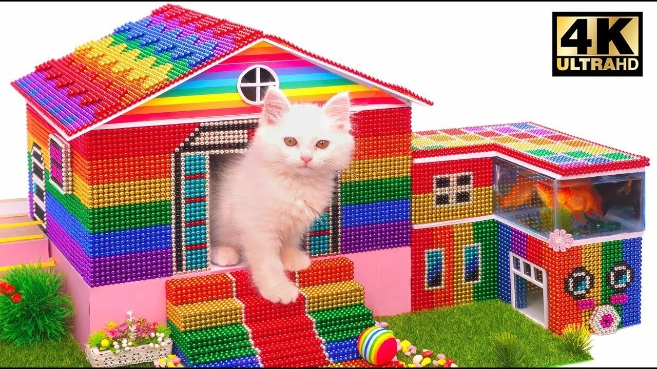 DIY How to Make Colorful Cat House with Fish Pool From Rainbow Magnetic Balls Satisfying ASMR