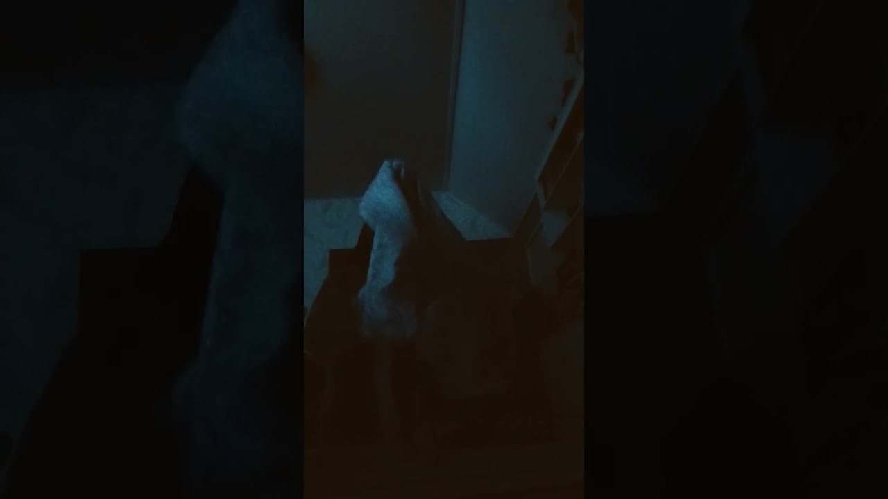 𝐤𝐮𝐨𝐥𝐥𝐮𝐭 𝐡𝐚𝐚𝐦𝐮