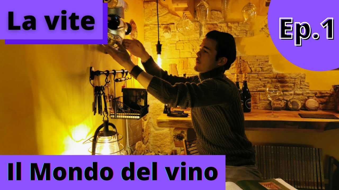 Il Mondo Del Vino // Ep.1- La Vite