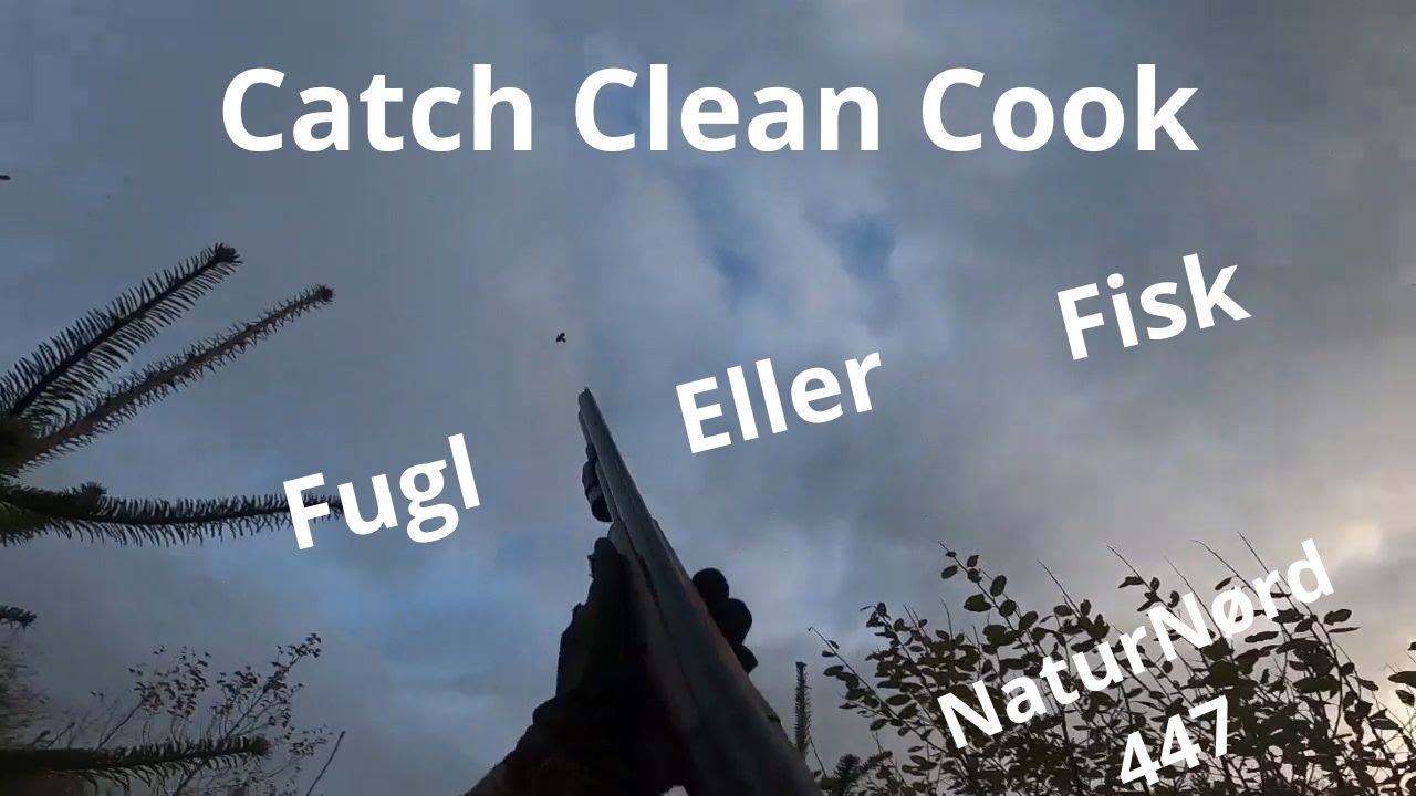 NaturNørd 447. På jagt efter dagens frokost. Blir det fugl eller fisk ????