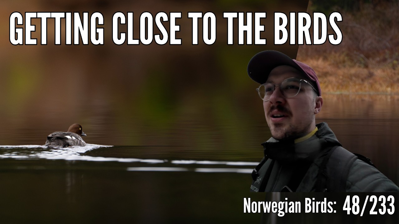 Bird Photography | I Spent 4 Hours Looking for Birds by Lakes