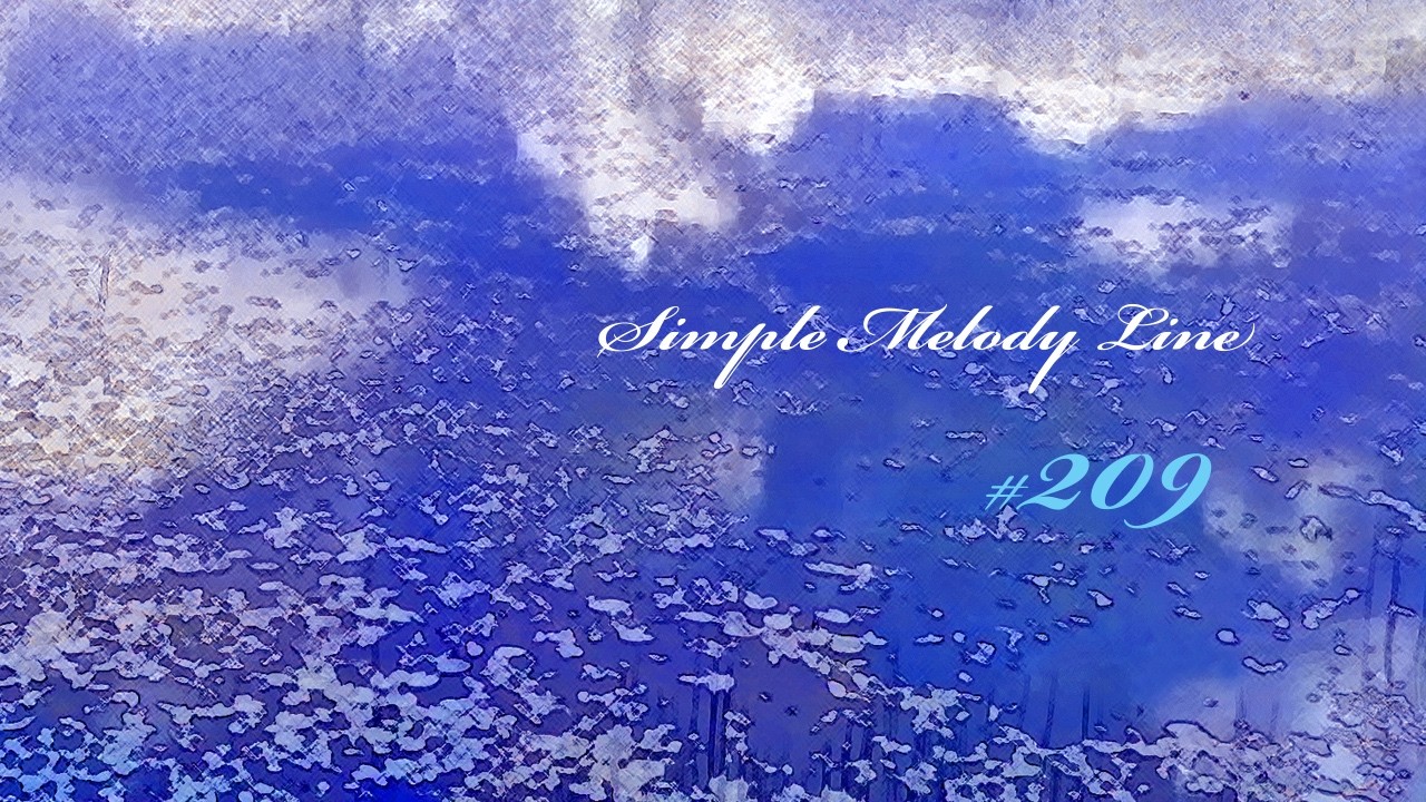 ＳＭＬ＃２０９