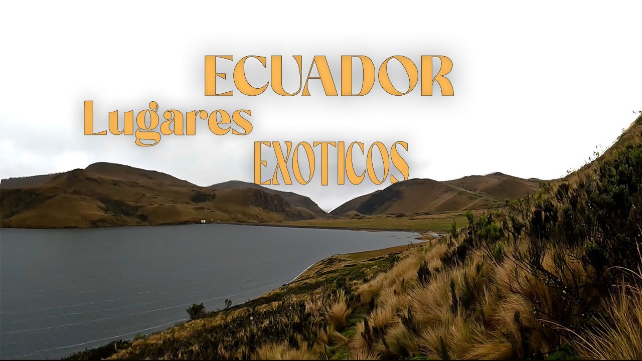Paisajes Exóticos y Condores Salvajes en el MAJESTUOSO volcán Antisana | Ecuador