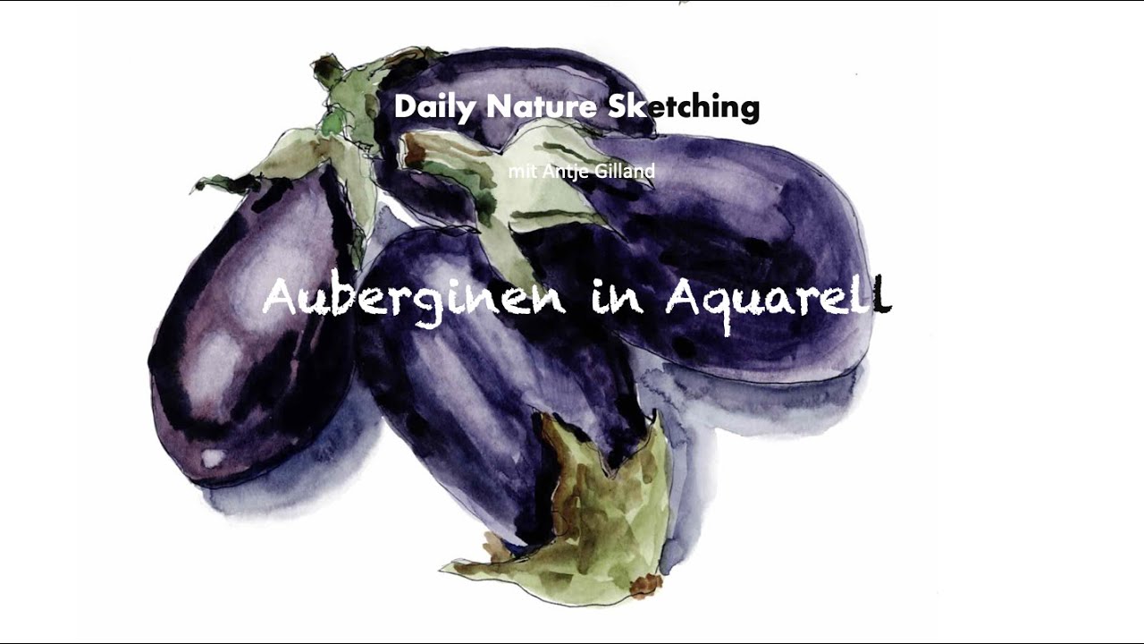 Daily Nature Sketching: Die Aubergine