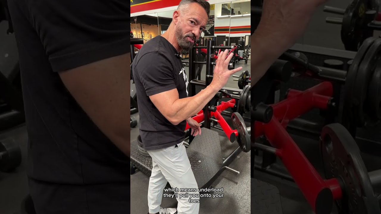 Belt Squat by gym80 | Pure Kraft Serie | Fitnessequipment