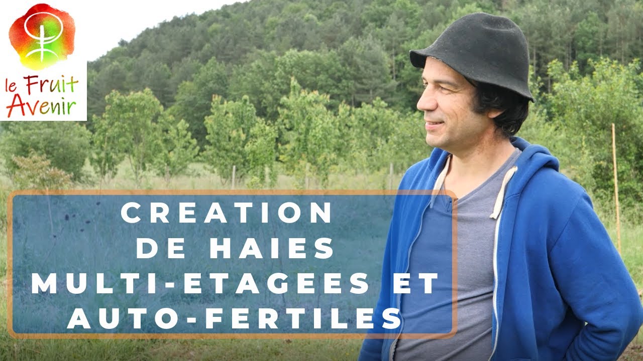 Création de HAIES MULTI-ETAGEES et AUTO-FERTILES à la pépinière Le Fruit Avenir