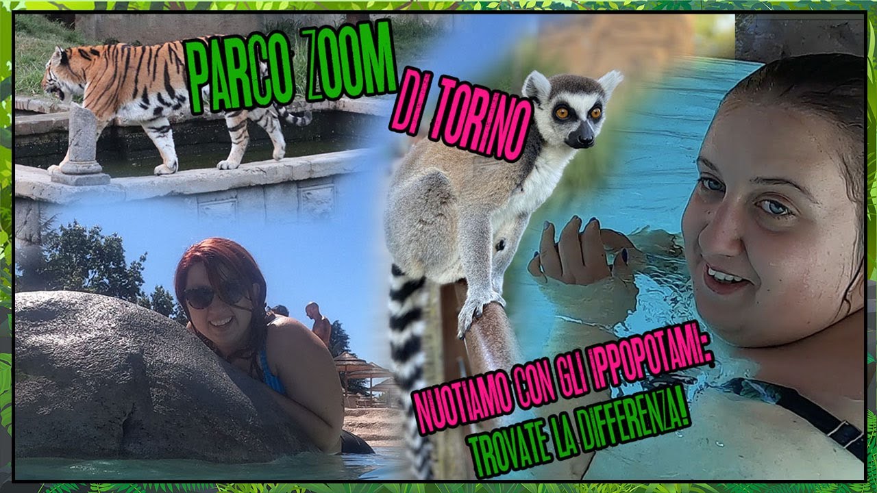 ZOOM TORINO 2020: gita con le MAMME (post Covid) || Illogical Garden