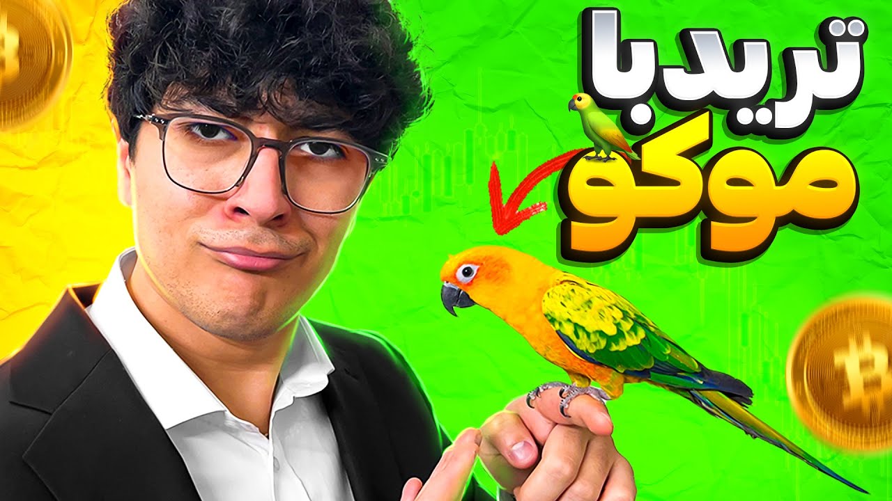 پرندم برام ترید کرد و بیشترین سود رو داد 🤑