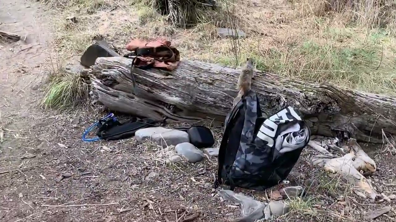 TastyChewy Presents Nao - Take Control 