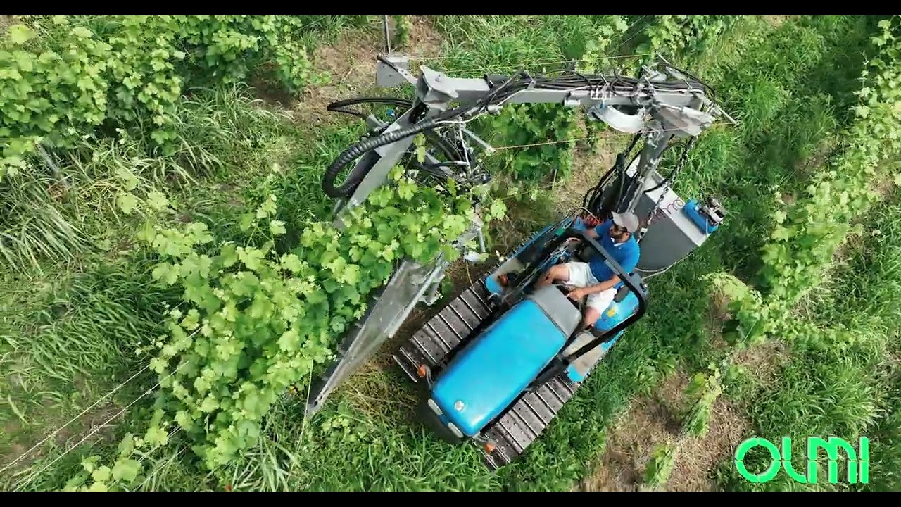 LEGATRICE, PALIZZATRICE PER VIGNETI APPLICATA A TRATTORE CINGOLATO