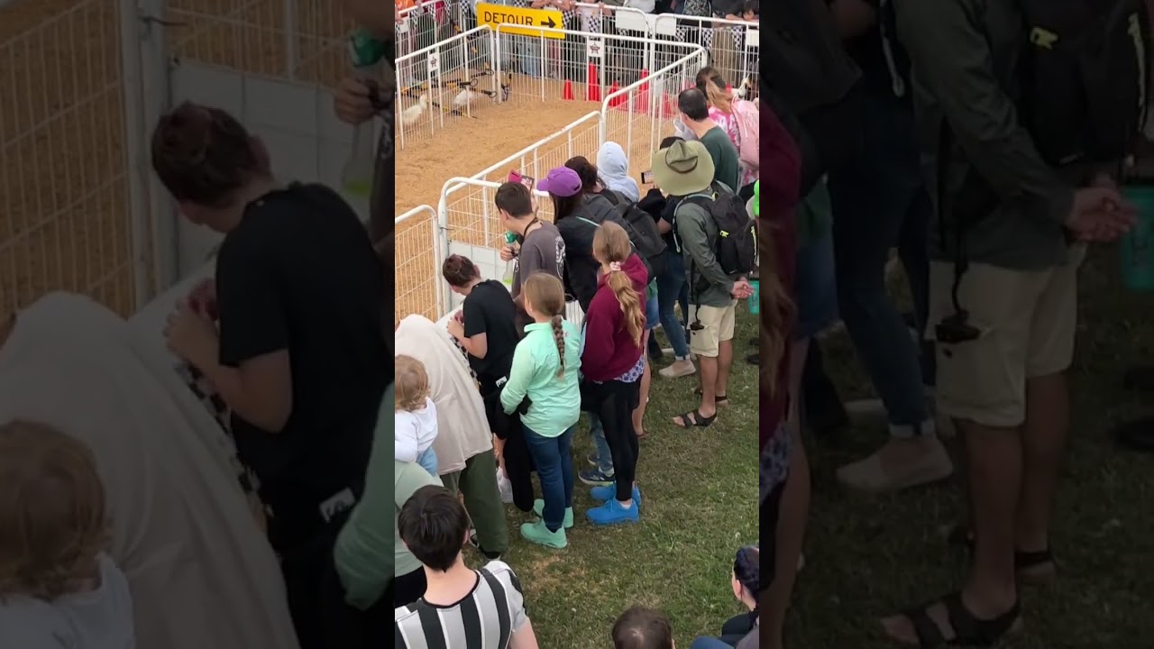 Australian Duck Racing Show