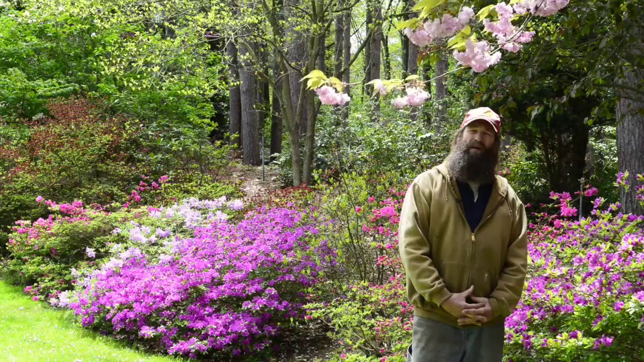 John Migas Conclusions