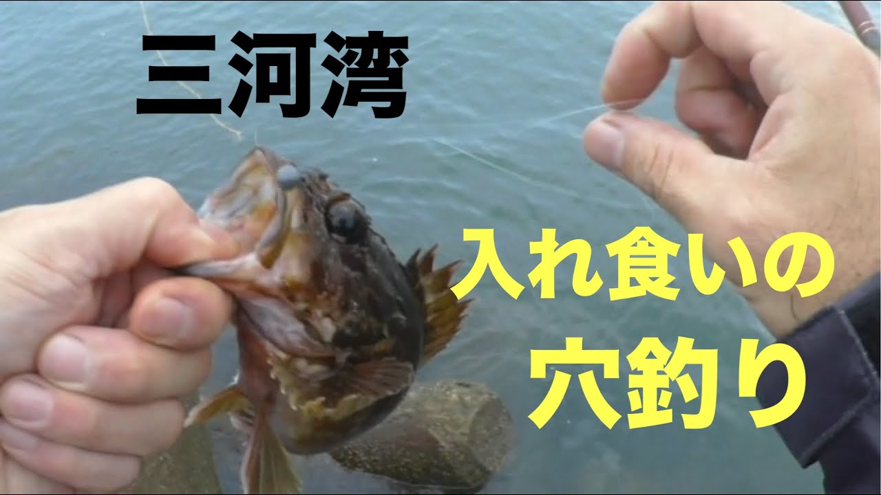 三河湾のテトラで穴釣り