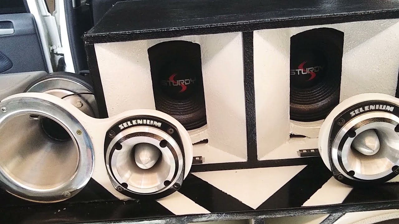 testando médio da sturdy de 300 RMS de 8 polegadas