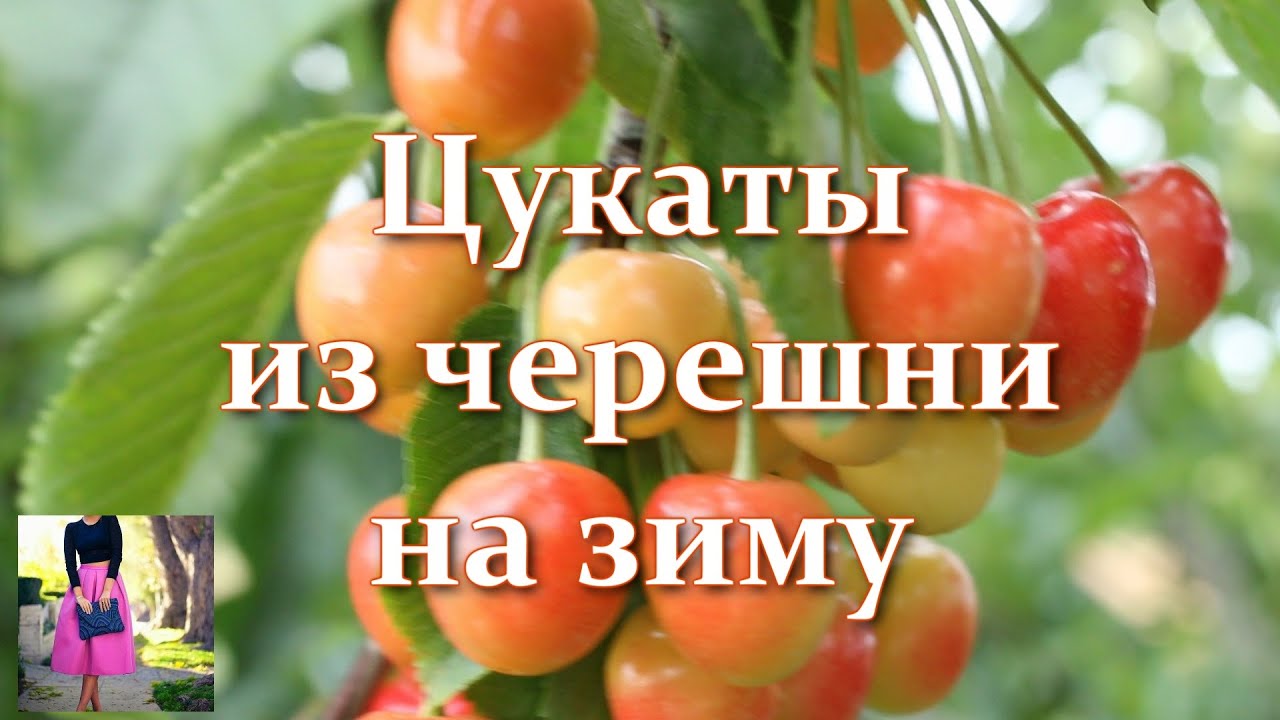 Цукаты в магазине не покупаю. Делаю сама! Домашние цукаты из черешни - супер изюм! Черешня на зиму