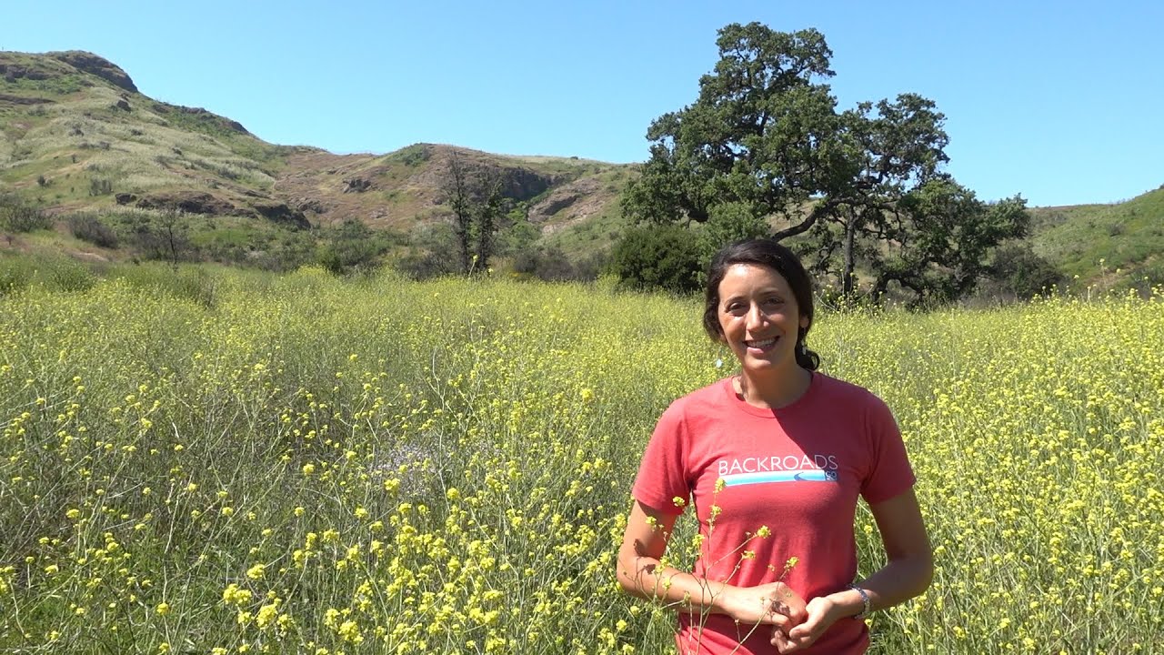 Bite-Sized Backroads Trip - Wine Country California