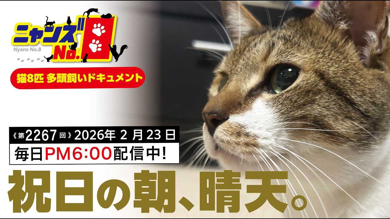 《第2267回》祝日の朝、晴天。