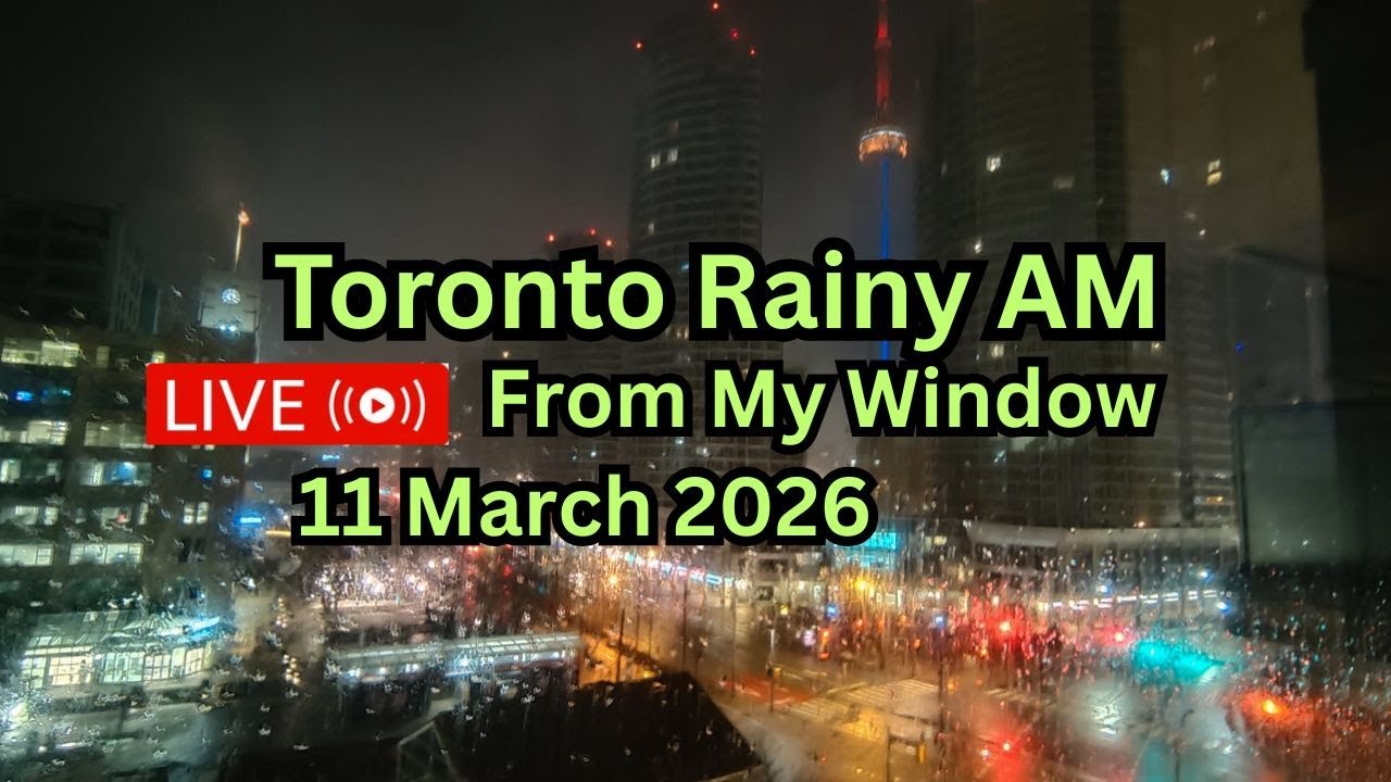 🔴Toronto Window Cam LIVE HD | MaoChow Adventure 11th March 2026 Rainy Morning
