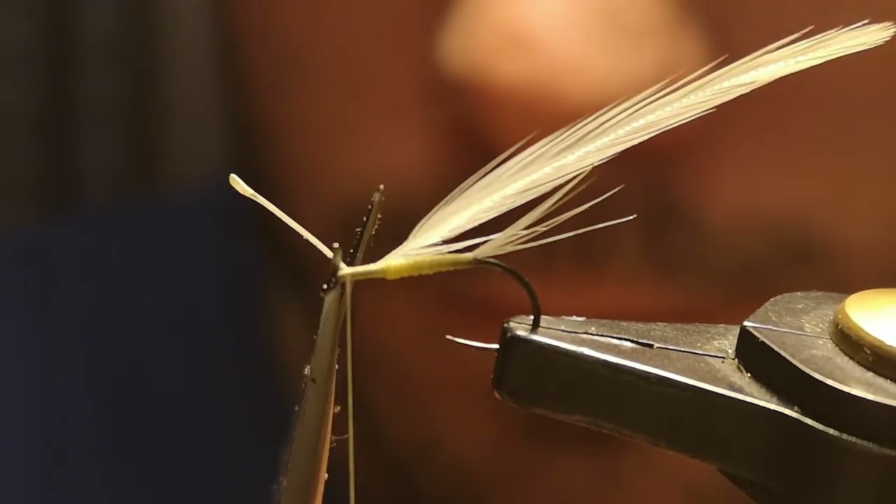 Less Than 1 Minute Fly Tying - La Poveretta
