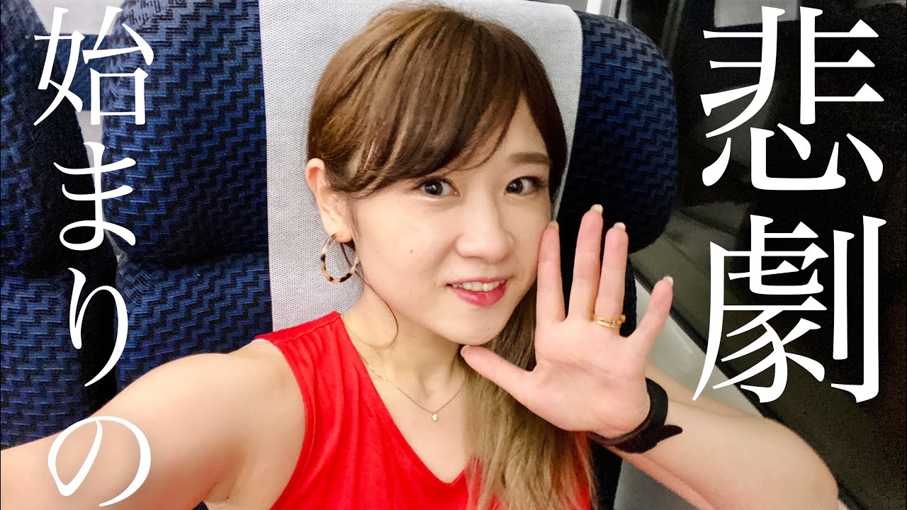 【特急しおさい】悲劇！快適255系のはずが