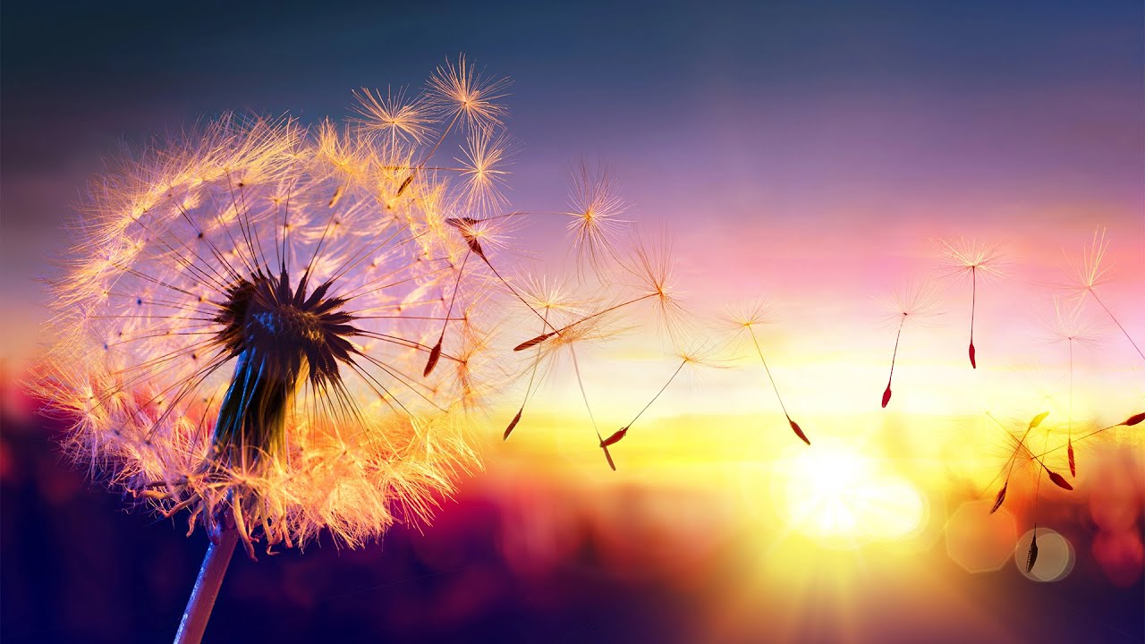 1 Hour Sleep Music – Gentle Piano & Flute for Deep Rest and Peaceful Night