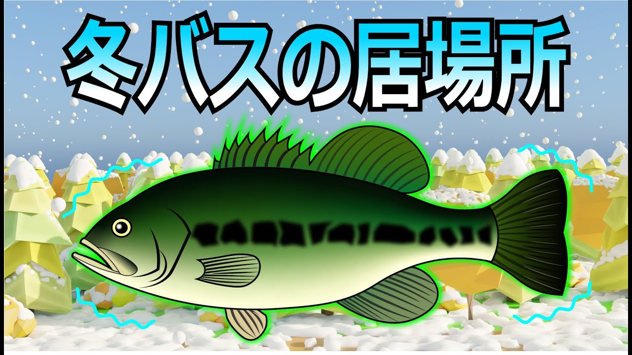 冬のブラックバスはドコにいるのか？【バス釣り】