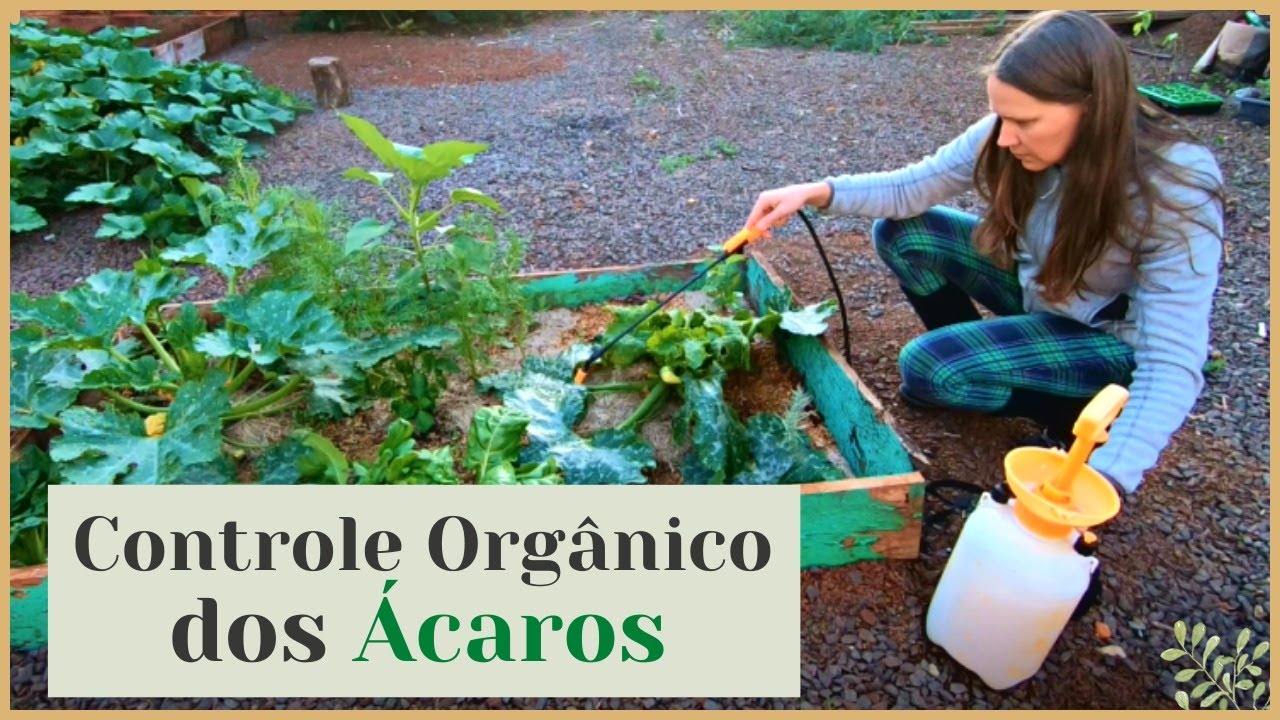 Controle Orgânico dos Ácaros